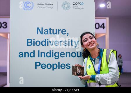 Bakou, Azerbaïdjan. 12 novembre 2024. Un membre du personnel montre une carte postale sur le thème du panda lors de la 29e session de la Conférence des Parties à la Convention-cadre des Nations Unies sur les changements climatiques (COP29) à Bakou, Azerbaïdjan, le 12 novembre 2024. Divers produits et services avec des éléments chinois ont attiré l'attention des participants à la COP29. Crédit : Cao Yang/Xinhua/Alamy Live News Banque D'Images