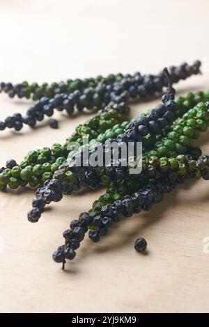 séchage ou maturation des grains de poivre noir sur le dessus de table en bois, épice jeune à base de plantes avec la chaleur poivrée, mise au point sélective avec espace de copie Banque D'Images