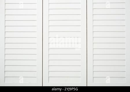 Portes de placard blanches Banque D'Images