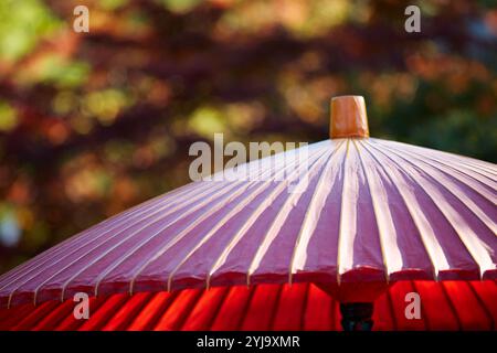 Gros plan d'un parapluie japonais rouge Banque D'Images