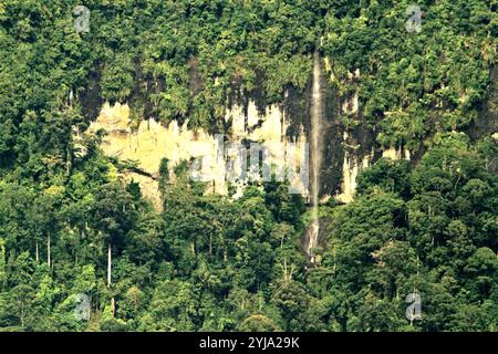 Une forêt tropicale et une chute d'eau sur la pente de la colline Bukit Tilung sont vues depuis le village de Nanga Raun à Kalis, Kapuas Hulu, Kalimantan occidental, Indonésie. Banque D'Images