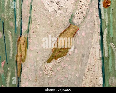 Détail des mains maigres et osseuses dans le portrait, Girl in White, de Vincent van Gogh. À la National Gallery of Art Museum de Washington DC. Banque D'Images