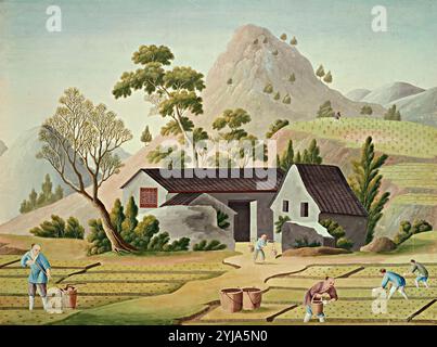 "Les agriculteurs chinois dans les champs de ricefields". MUSÉE : BIBLIOTHÈQUE GRATUITE, BUDAPEST, ÉTATS-UNIS. Banque D'Images