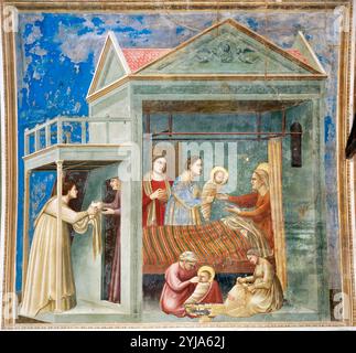 Giotto / 'la naissance de la Vierge Marie', 1303-1310, fresque. Musée : cappella degli Scrovegni, Pavoda. VIERGE MARIE. Sainte Anne. Banque D'Images