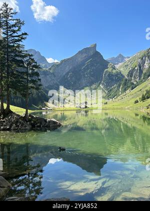 Seealpsee et paysage de lac de montagne Banque D'Images