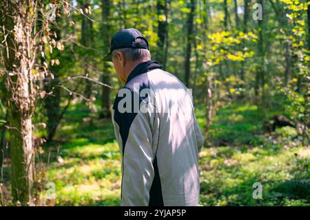 L'homme cherche des champignons dans la forêt d'automne, récolte des champignons sauvages, se concentre sur la botanique, la mycologie et la foresterie. Banque D'Images