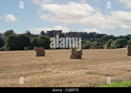 Le foin reste fraîchement mis en balles lors d'une journée chaude et ensoleillée au château de kenilworth Banque D'Images