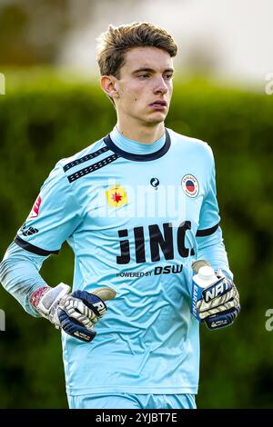 ZUNDERT, pays-Bas. 14 novembre 2024. Football, Midglas Traingcentre, Néerlandais eredivisie, saison 2024/2025, pendant le match NAC - Excelsior (frendly), le gardien de but de l'Excelsior Rotterdam Tijmen Holla crédit : Pro Shots/Alamy Live News Banque D'Images