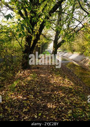 Piste cyclable le long du canal Villoresi à Monza, Brianza, Lombardie, Italie, en novembre Banque D'Images