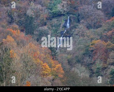 Canonteign Falls, Teign Valley, Royaume-Uni. 14 novembre 2024. Météo Royaume-Uni : Canonteign tombe aux couleurs de l'automne dans la vallée de Teign, Devon. Crédit : Nidpor/Alamy Live News Banque D'Images