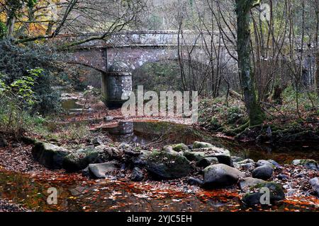 Dunsford, Teign Valley, Royaume-Uni. 14 novembre 2024. Météo Royaume-Uni : Steps Bridge en couleurs d'automne près de Dunsford dans la Teign Valley, Devon. Crédit : Nidpor/Alamy Live News Banque D'Images