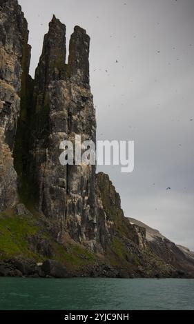 La spectaculaire falaise d'Alkefjellet avec des guillemots, des colonnes de dolérite, Svalbard Banque D'Images