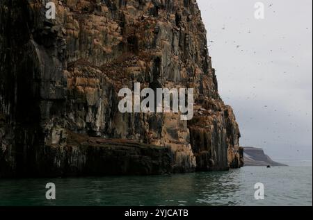 La spectaculaire falaise d'Alkefjellet avec des guillemots, des colonnes de dolérite, Svalbard Banque D'Images