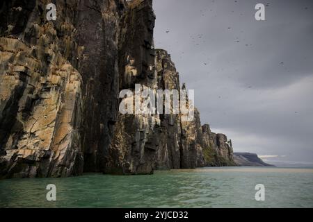 La spectaculaire falaise d'Alkefjellet avec des guillemots, des colonnes de dolérite, Svalbard Banque D'Images