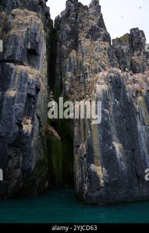 La spectaculaire falaise d'Alkefjellet avec des guillemots, des colonnes de dolérite, Svalbard Banque D'Images