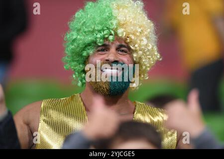 MELBOURNE, AUSTRALIE. 14 novembre 2024. Un supporter australien des Socceroos aux couleurs vertes et dorées de l'Australie lors de la 3ème manche des qualifications de la Coupe du monde AFC du Groupe C Australie vs Arabie Saoudite au stade rectangulaire de Melbourne à AAMI Park le 14 novembre 2024. Crédit : Karl Phillipson/Alamy Live News Banque D'Images