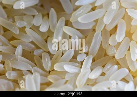 Vue de dessus texturée abstraite sur grains de riz blanc Banque D'Images