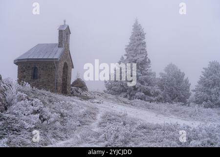 Senj, Croatie. 14 novembre 2024. La première neige de la saison hivernale est vue au Lodge de montagne de Zavizanj le 14 novembre 2024 près de Senj, Croatie. Photo : Hrvoje Kostelac/PIXSELL crédit : Pixsell/Alamy Live News Banque D'Images