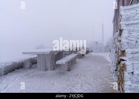 Senj, Croatie. 14 novembre 2024. La première neige de la saison hivernale est vue au Lodge de montagne de Zavizanj le 14 novembre 2024 près de Senj, Croatie. Photo : Hrvoje Kostelac/PIXSELL crédit : Pixsell/Alamy Live News Banque D'Images