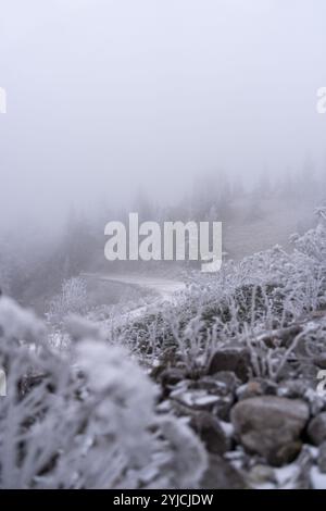 Senj, Croatie. 14 novembre 2024. La première neige de la saison hivernale est vue au Lodge de montagne de Zavizanj le 14 novembre 2024 près de Senj, Croatie. Photo : Hrvoje Kostelac/PIXSELL crédit : Pixsell/Alamy Live News Banque D'Images