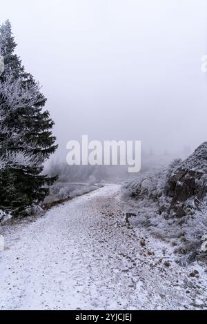 Senj, Croatie. 14 novembre 2024. La première neige de la saison hivernale est vue au Lodge de montagne de Zavizanj le 14 novembre 2024 près de Senj, Croatie. Photo : Hrvoje Kostelac/PIXSELL crédit : Pixsell/Alamy Live News Banque D'Images