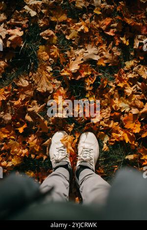 Vue à la première personne regardant vers le bas sur des feuilles d'automne colorées portant des baskets blanches Banque D'Images