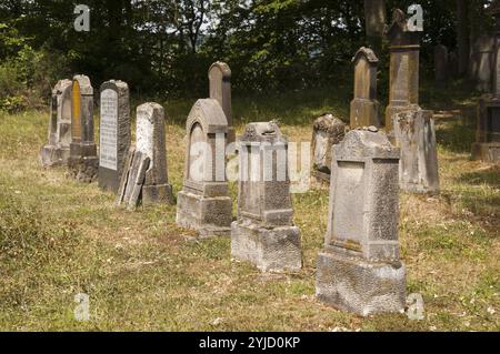 Cimetière juif, pierres tombales en forme de stèles, partiellement décoré d'acroteria, Beilstein, vallée de la Moselle, Rhénanie-Palatinat, Allemagne, Europe Banque D'Images
