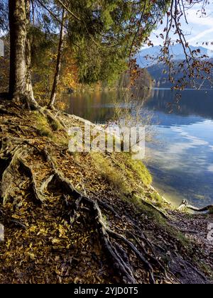 Ambiance automnale au lac Hechtsee près de Kufstein, Tyrol, Autriche, Europe Banque D'Images