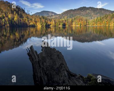 Ambiance automnale au lac Hechtsee près de Kufstein, Tyrol, Autriche, Europe Banque D'Images