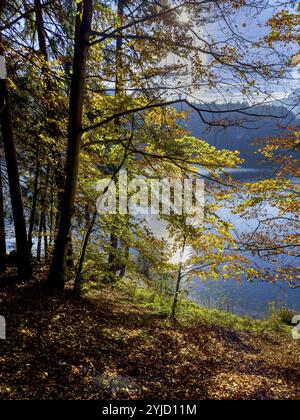 Ambiance automnale au lac Hechtsee près de Kufstein, Tyrol, Autriche, Europe Banque D'Images