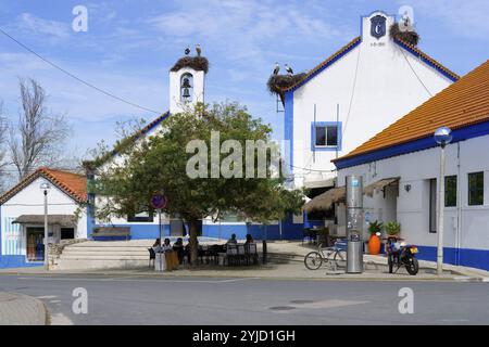 Cigognes blanches (Ciconia Ciconia) nichant au sommet de maisons dans le centre-ville de Comporta, Alentejo, Portugal, Europe Banque D'Images