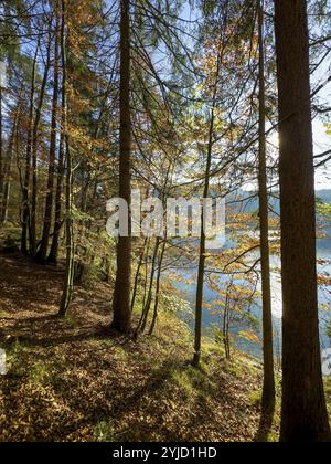 Ambiance automnale au lac Hechtsee près de Kufstein, Tyrol, Autriche, Europe Banque D'Images