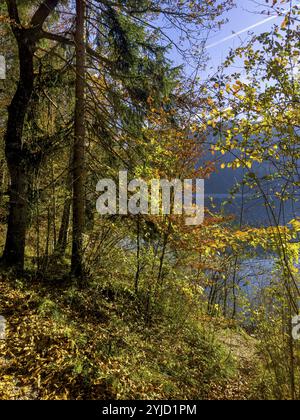 Ambiance automnale au lac Hechtsee près de Kufstein, Tyrol, Autriche, Europe Banque D'Images