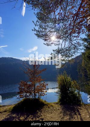 Ambiance automnale au lac Hechtsee près de Kufstein, Tyrol, Autriche, Europe Banque D'Images