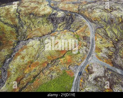 Highlands islandais, routes F, traversée de rivière. Chemin de terre isolé quelque part en Islande continentale, entouré de buissons verdoyants et de terres volcaniques. A Banque D'Images