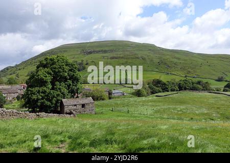 Kisdon Hill sur Pennine Way de Hay Meadows près de Thwaite à Swaledale, dans le parc national des Yorkshire Dales. Angleterre, Royaume-Uni. Banque D'Images