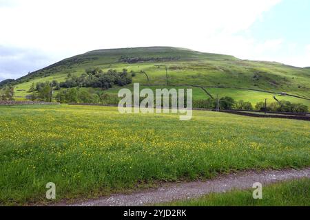 Kisdon Hill sur Pennine Way de Hay Meadows près de Thwaite à Swaledale, dans le parc national des Yorkshire Dales. Angleterre, Royaume-Uni. Banque D'Images