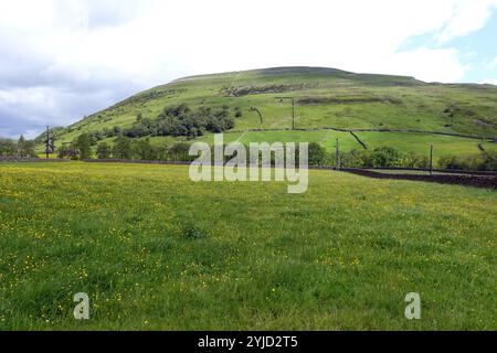 Kisdon Hill sur Pennine Way de Hay Meadows près de Thwaite à Swaledale, dans le parc national des Yorkshire Dales. Angleterre, Royaume-Uni. Banque D'Images