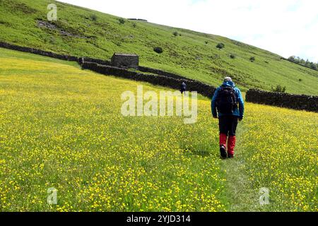 Deux hommes (randonneurs) marchant jusqu'à Stone Barn sur Pennine Way à travers Hay Meadows depuis Thwaite à Swaledale, Yorkshire Dales National Park. Angleterre, Royaume-Uni. Banque D'Images