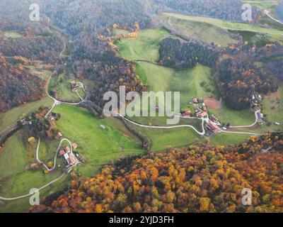 Vue aérienne des collines et des vallées dans la zone rurale avec la forêt d'automne et les champs verts couvrant la terre Banque D'Images