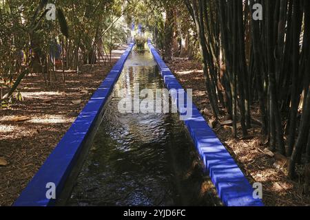 Bassin d'eau étroit avec rebord bleu dans le jardin de Majorelle Banque D'Images