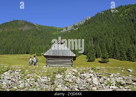 Cabane de berger sur la clairière de Chocholowska, Tatras polonaises. En arrière-plan une pente de montagne couverte de forêt d'épicéas et de rochers Banque D'Images