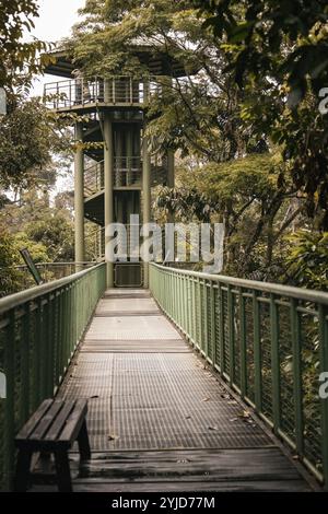 Pont suspendu dans le centre de conservation de la forêt tropicale Bornéo Malaisie Banque D'Images