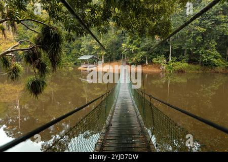 Belle nature de la forêt tropicale Bornéo pont suspendu sur le lac et une cabane en bois Sandakan Malaisie Banque D'Images