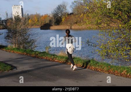 Copenhagen/ Denmark/14 NOV. 2024/quelques promenades et quelques courses avec christianhavn vold lac ad Park aand profitez des feuilles jaunes et brunes montre le temps d'automne ou seson d'automne sur christianshavn vold dans la capitale danoise. (Photo. Francis Joseph Dean/Dean Pictures) (non destiné à un usage commercial) Banque D'Images