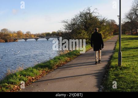 Copenhagen/ Denmark/14 NOV. 2024/quelques promenades et quelques courses avec christianhavn vold lac ad Park aand profitez des feuilles jaunes et brunes montre le temps d'automne ou seson d'automne sur christianshavn vold dans la capitale danoise. (Photo. Francis Joseph Dean/Dean Pictures) (non destiné à un usage commercial) Banque D'Images