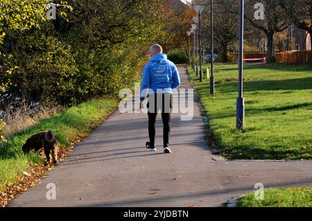 Copenhagen/ Denmark/14 NOV. 2024/quelques promenades et quelques courses avec christianhavn vold lac ad Park aand profitez des feuilles jaunes et brunes montre le temps d'automne ou seson d'automne sur christianshavn vold dans la capitale danoise. (Photo. Francis Joseph Dean/Dean Pictures) (non destiné à un usage commercial) Banque D'Images