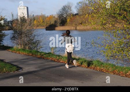 Copenhagen/ Denmark/14 NOV. 2024/quelques promenades et quelques courses avec christianhavn vold lac ad Park aand profitez des feuilles jaunes et brunes montre le temps d'automne ou seson d'automne sur christianshavn vold dans la capitale danoise. (Photo. Francis Joseph Dean/Dean Pictures) (non destiné à un usage commercial) Banque D'Images