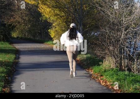 Copenhagen/ Denmark/14 NOV. 2024/quelques promenades et quelques courses avec christianhavn vold lac ad Park aand profitez des feuilles jaunes et brunes montre le temps d'automne ou seson d'automne sur christianshavn vold dans la capitale danoise. Photo. Francis Joseph Dean/Dean images non destinées à un usage commercial Banque D'Images