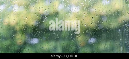 Gouttes de pluie sur la fenêtre transparente en verre avec le fond flou vert du jardin. Gouttes épuisées Banque D'Images